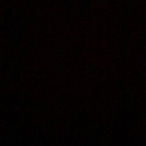 Meet your Posher, Will